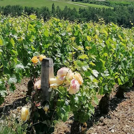 Bed & Breakfast D'hotes Esprit De Famille Landreville