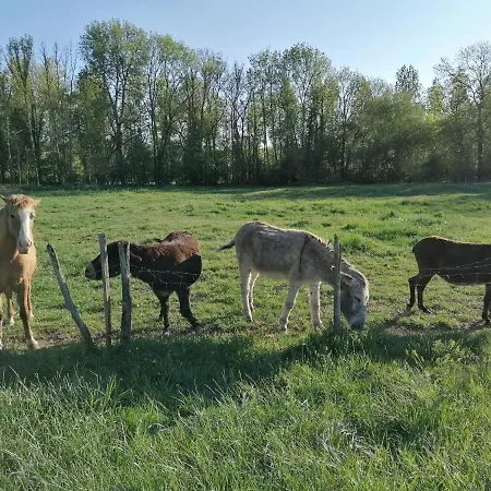 D'hotes Esprit De Famille Landreville